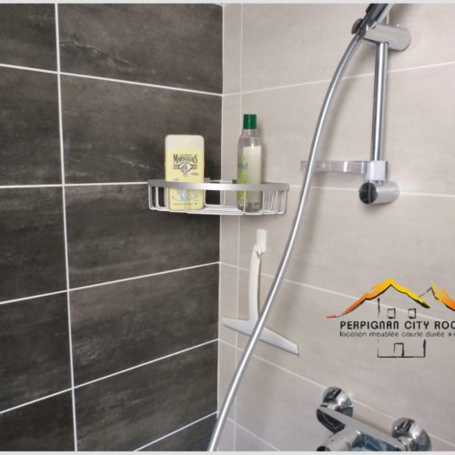 perpignanccityroom-thuesneuf-produits douche-gris2022