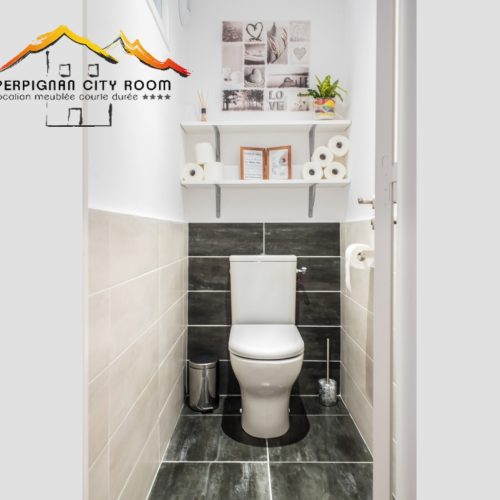 perpignancityroom-thuesneuf-WC-toilette-gris-blanc