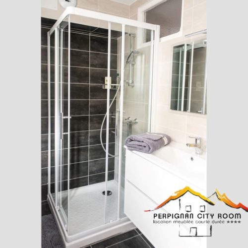 perpignancityroom-thuesneuf-salle d eau-anthracite (3)